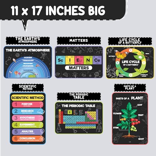 jackinthebox | 12 Science Posters for Classroom Middle School | High School Science Classroom Decor | Science Decor | Science Bulletin Board Sets for Kids Ages 7 8 9 10