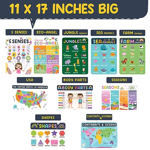 jackinthebox 20 Educational Posters | Homeschool Decorations | Preschool Wall Decor for Toddlers | Kindergarten School Supplies | Colorful | Classroom Posters | Pre K Learning Posters |