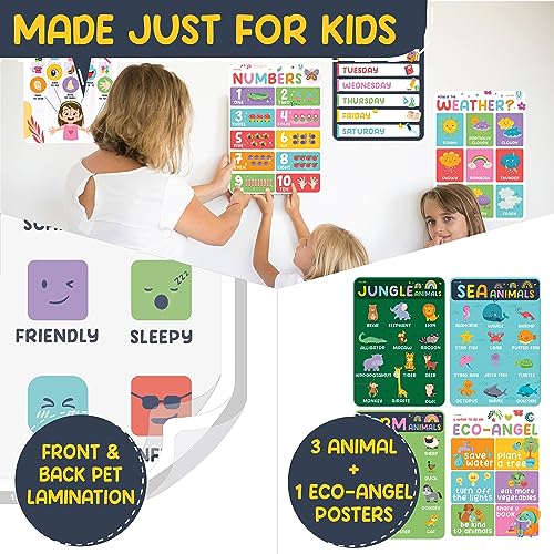 jackinthebox 20 Educational Posters | Homeschool Decorations | Preschool Wall Decor for Toddlers | Kindergarten School Supplies | Colorful | Classroom Posters | Pre K Learning Posters |
