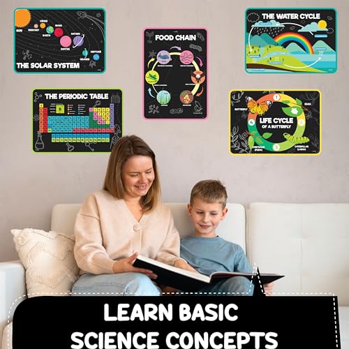 jackinthebox | 12 Science Posters for Classroom Middle School | High School Science Classroom Decor | Science Decor | Science Bulletin Board Sets for Kids Ages 7 8 9 10