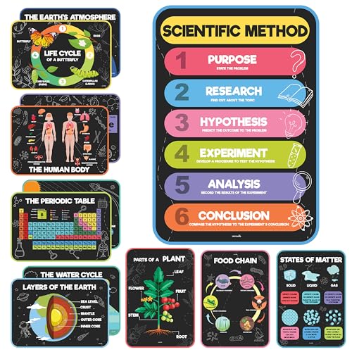 jackinthebox | 12 Science Posters for Classroom Middle School | High School Science Classroom Decor | Science Decor | Science Bulletin Board Sets for Kids Ages 7 8 9 10
